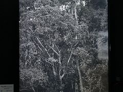 -中国美术学院-美术馆