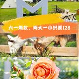 六一爆款：两大一小只要128