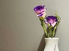 -宫燕府·京菜·烤鸭·淮扬菜(王府中心店)