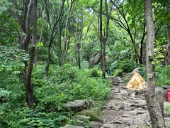 -大岭沟猕猴桃谷风景区