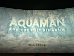 -悦江新远影城IMAX