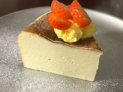 纯素巴斯克芝士-有樣YOUNG VEGAN·蔬食烘焙