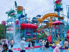 -苏州乐园森林水世界