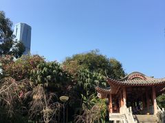 -柳侯公园