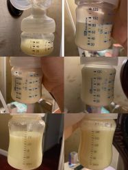 -蓓爱娇琪月子会所(虹口店)