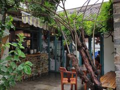 -喵屿·大理花园猫咖