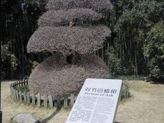 -苏州河梦清园环保主题公园