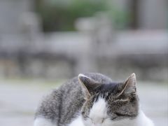 -贵厨酸汤牛肉(小十字店)