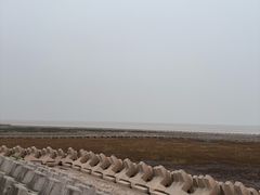 -南汇嘴观海公园