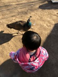 -萌宠亲子动物乐园(槐房万达店)