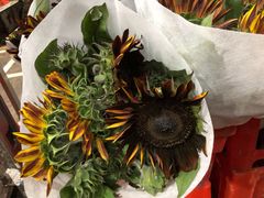 -昆明国际花卉拍卖交易中心