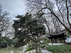 -盆景园(扬州大运河文化旅游度假区)
