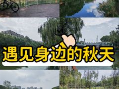 -新江湾城公园