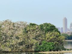 -海珠湖公园