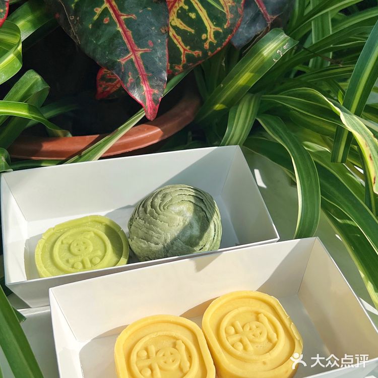 糯叽叽玫瑰红豆青团爱住