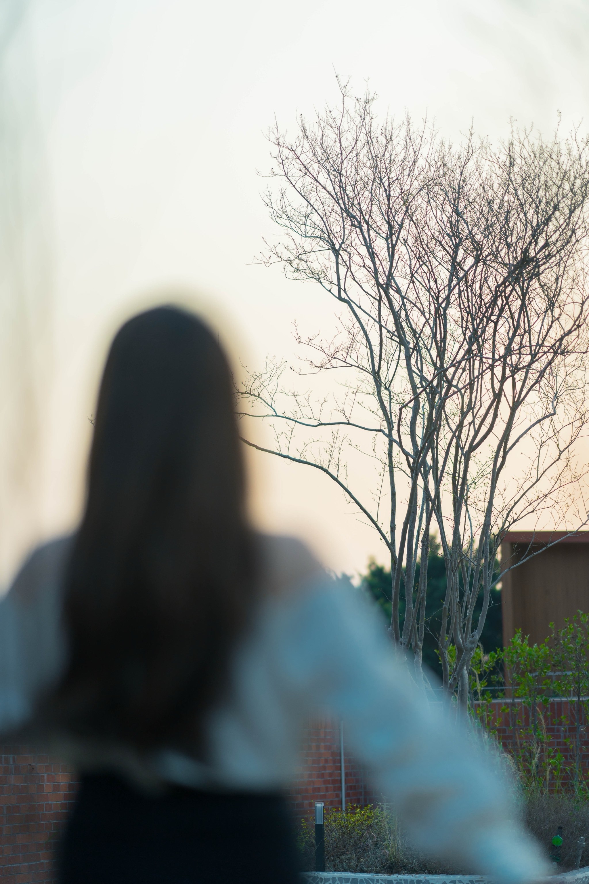 建筑与夜色交织