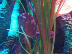 -沈阳海洋探索中心