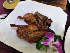 红烧乳鸽-桃源尚品海鲜酒楼(京港澳高速店)