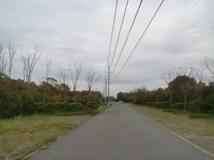 -上海海湾国家森林公园