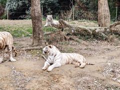 -杭州野生动物世界