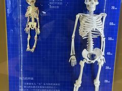 -四川科技馆