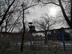 -朝阳公园游乐园