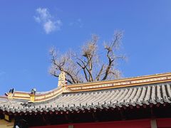 -狼山风景名胜区