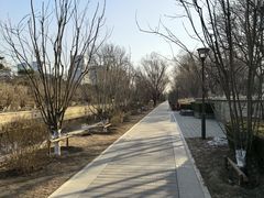 -元大都城垣遗址公园