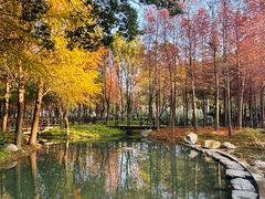 -尚贤河湿地