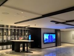 -新加坡乌节希尔顿酒店 (SG Clean)