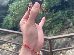 -呀诺达热带雨林