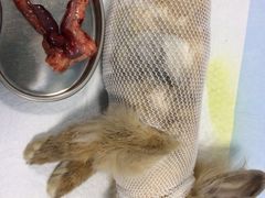 -菲尔斯特宠物医院