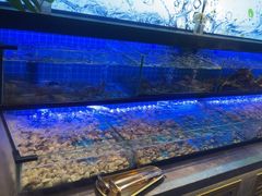 -透明思烤·自助烤肉海鲜火锅(东部星悦天地店)