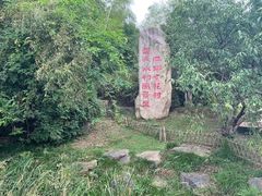 -杏花村文化旅游区