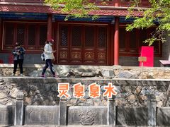 -大觉寺-停车场