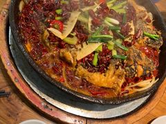 -老板恋上鱼(印象城店)