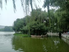 -莲花池公园