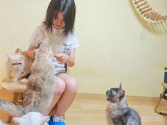 -Meowの猫咖(万家丽店)