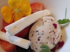 冰激凌-蝶舍·MAISON PAPILLON