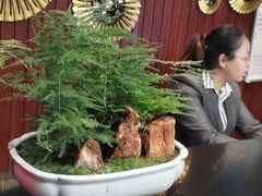 -知足堂养生会所(碑亭巷店)