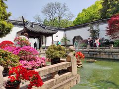-上海醉白池公园