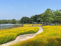 -海珠湖公园