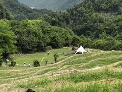 -石台牯牛降景区