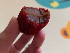 -民族饭店-四季餐厅