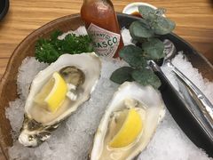 -一本钓鲔鱼屋