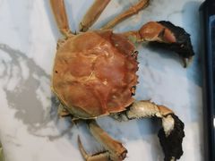 -半岛听涛蒸汽海鲜自助(K11店)