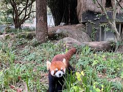 -宁波野生动物园