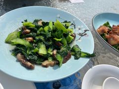 -盐官日光域房车营地·有盐餐厅