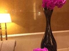 -澳门十六浦索菲特大酒店