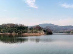 -佛手湖郊野公园